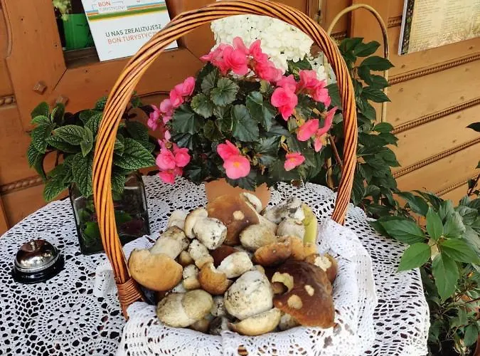 Na Groniu Bed & Breakfast Meszna