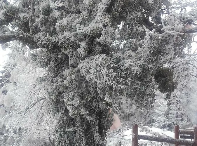 Na Groniu Bed & Breakfast